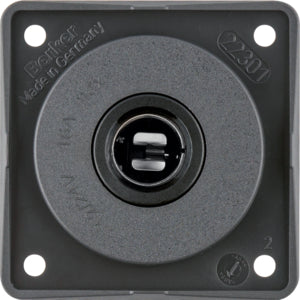 Berker stopcontact voor 12 Volt Plug